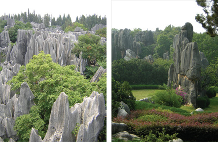 Stone Forest Pair