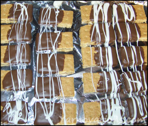 chocolate covered graham crackers