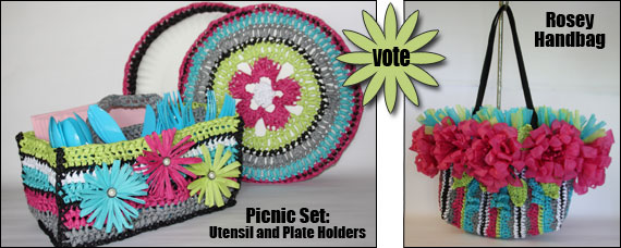 Vote on Crochet Raffia Projects