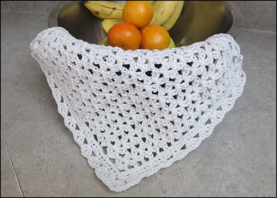 Shell Dishcloth Crochet Pattern